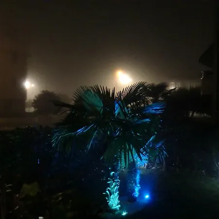 Elisa Piano Terra Con Giardino E Posto Auto