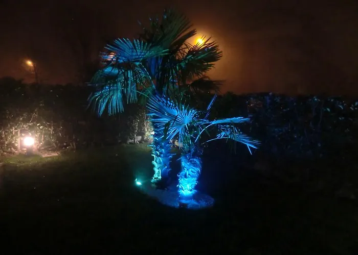 Elisa Piano Terra Con Giardino E Posto Auto Διαμέρισμα Καόρλε